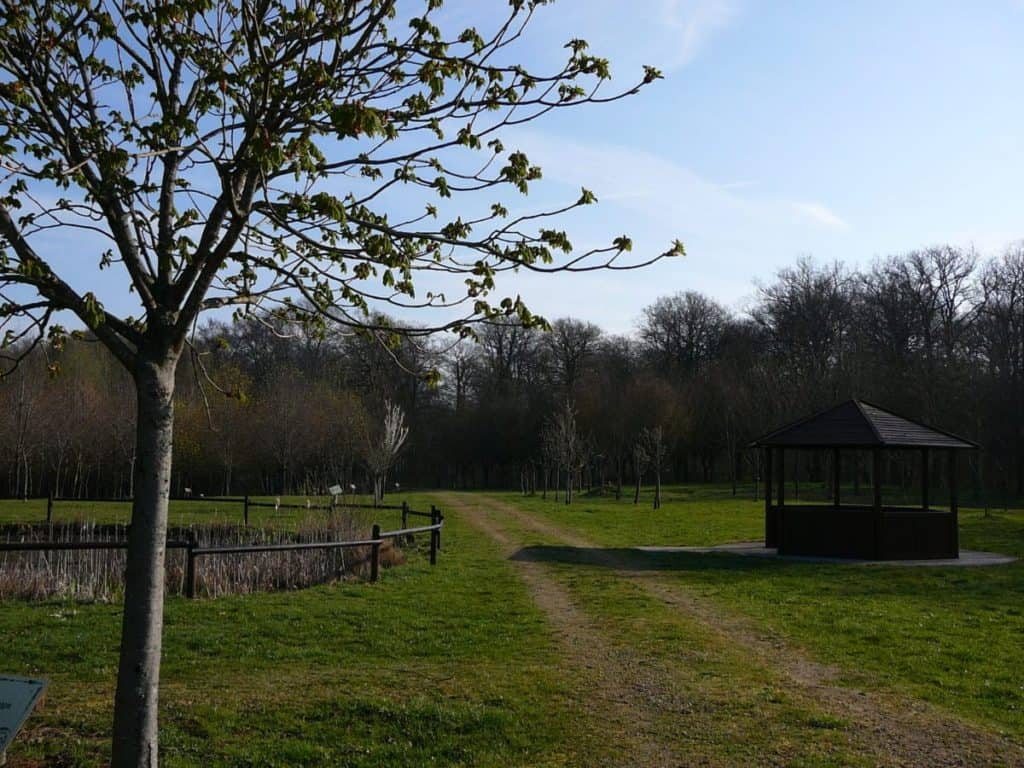 Arboretum