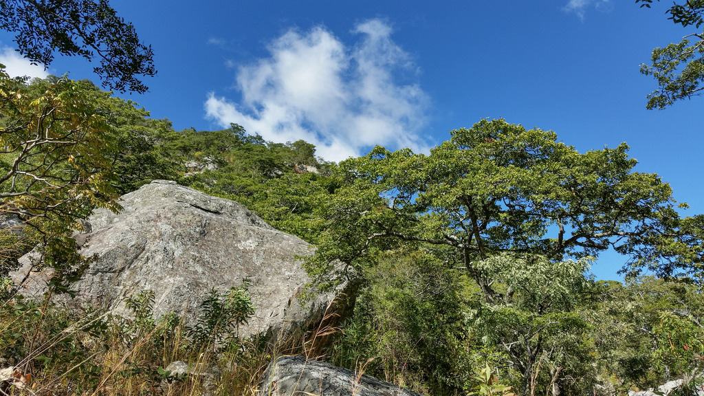 Chongoni
