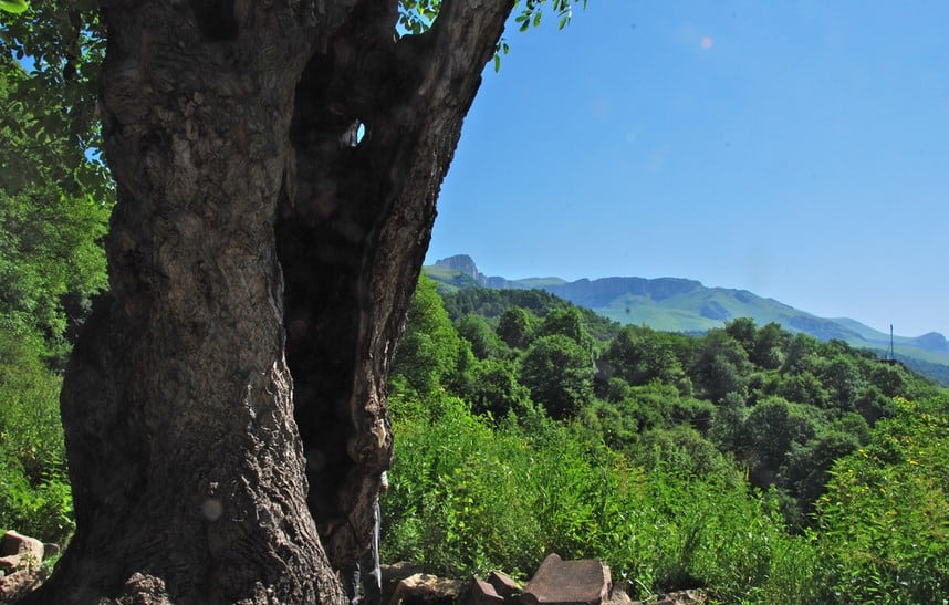Dilijan National Park