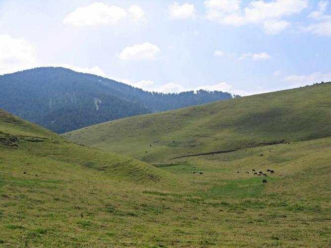 Gishwati Forest National Park