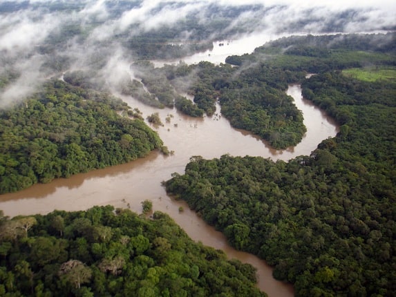 Gola Forest Reserve