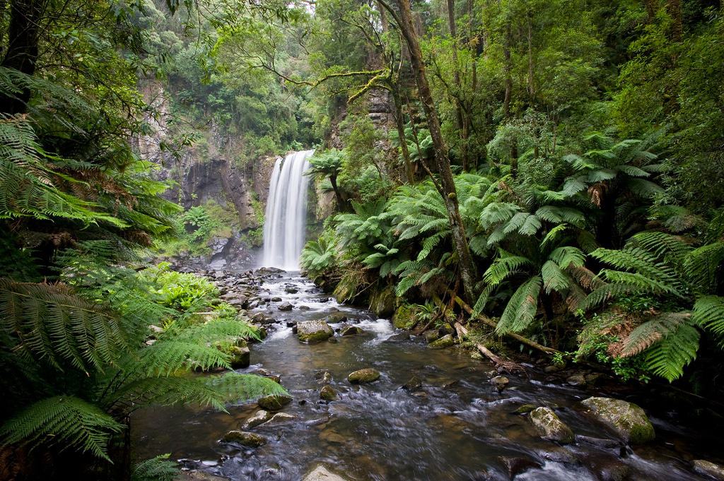 Great Otway National Park