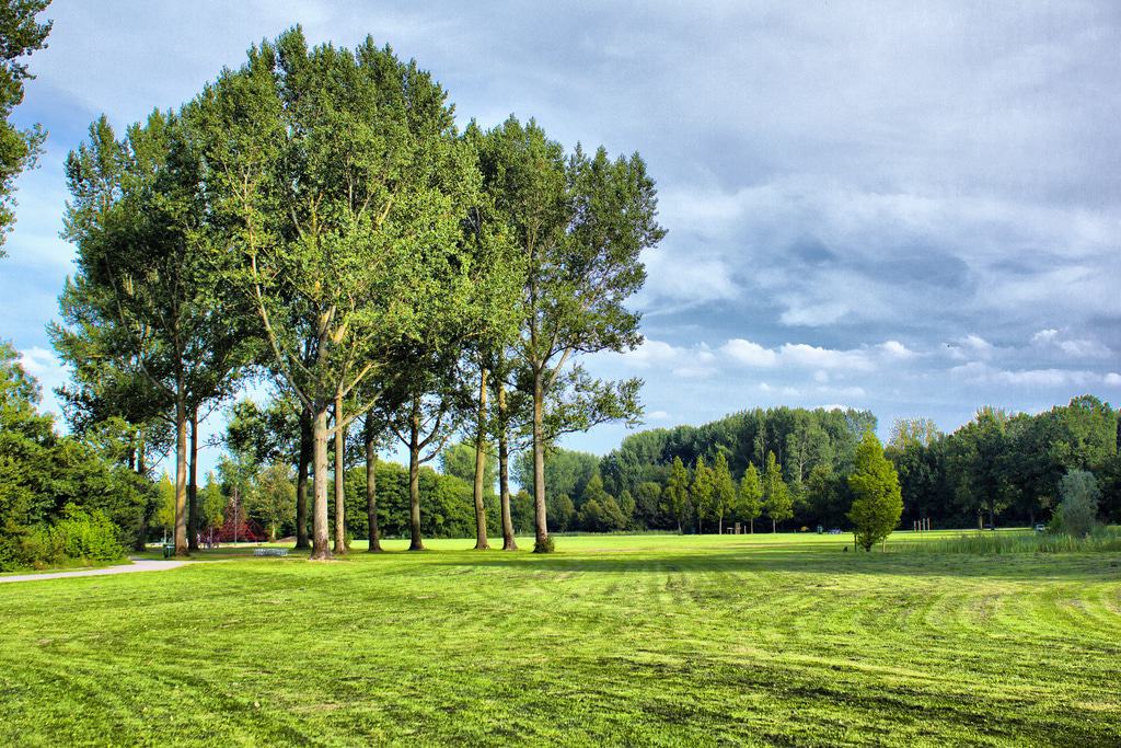 Haarlemmermeerse Bos
