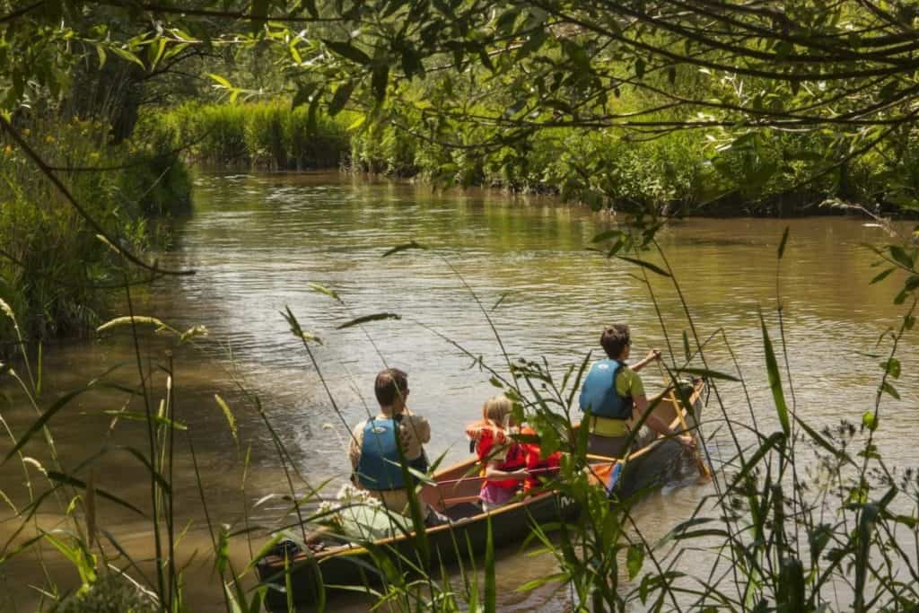 Kayaking at Biesbosch