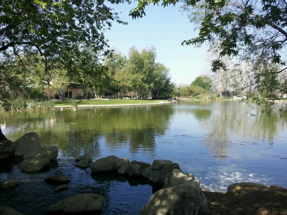 Martin Tudor Hills Regional Park