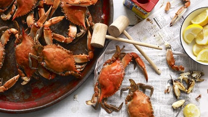 Maryland Crab Fest