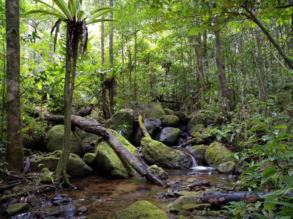Masoala National Park