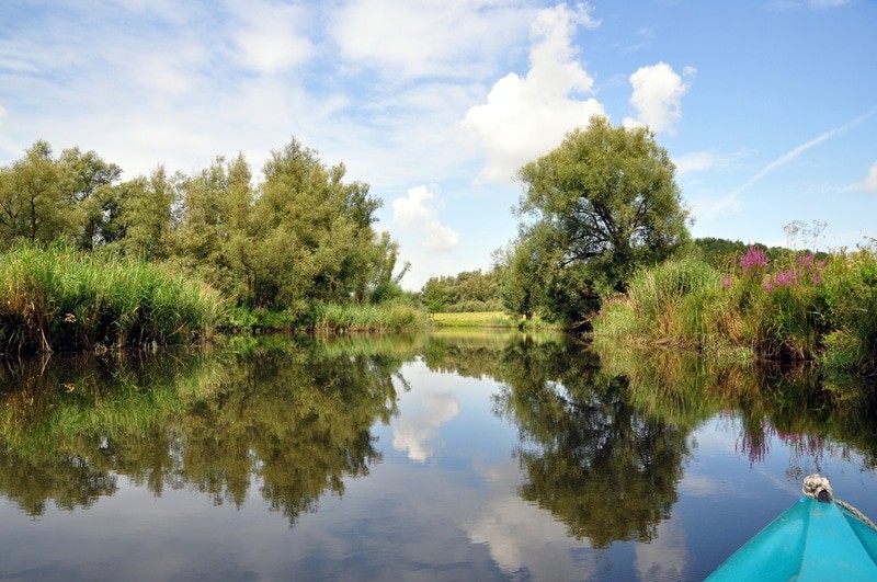 Nationaal Park De Biesbosch