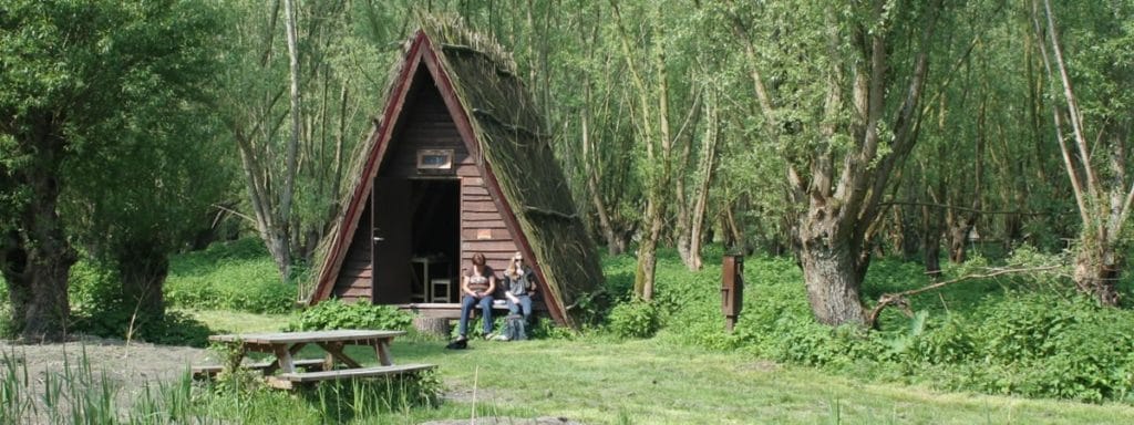 Nationaal Park De Biesbosch