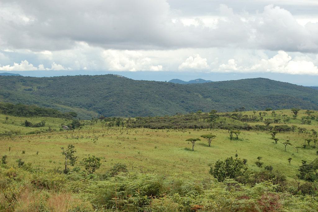 Nyika National Park