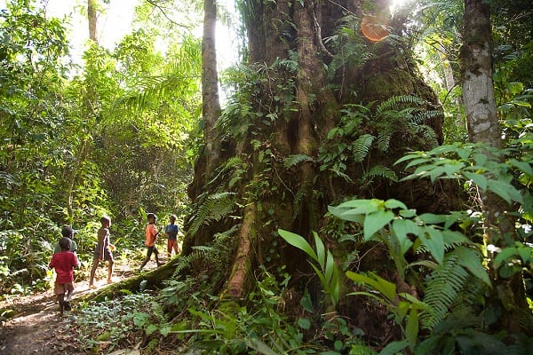 Sapo National Park
