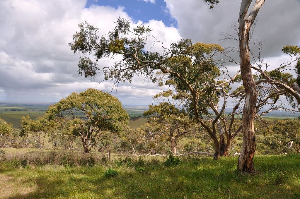 Spring Gully Conservation Park