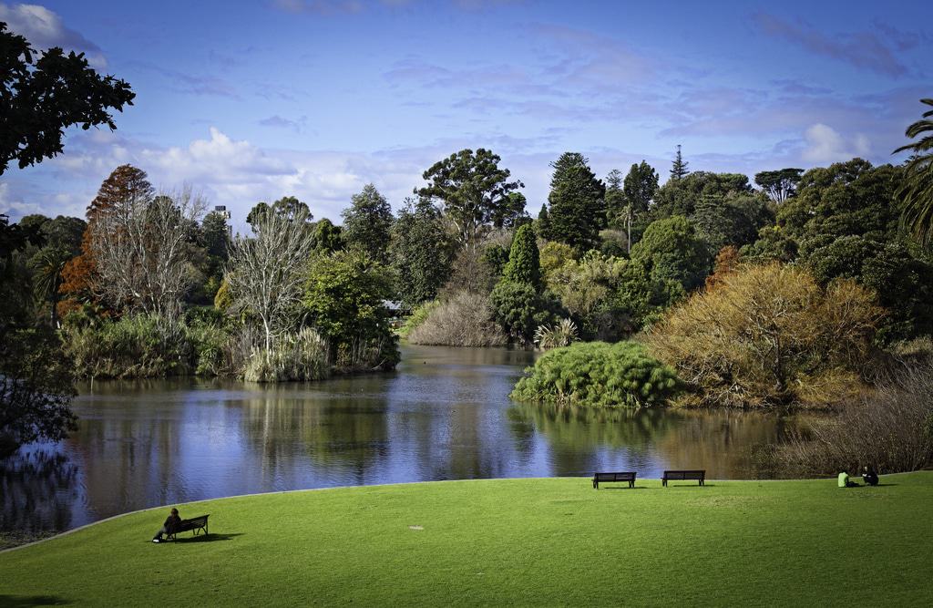 The Botanic Gardens