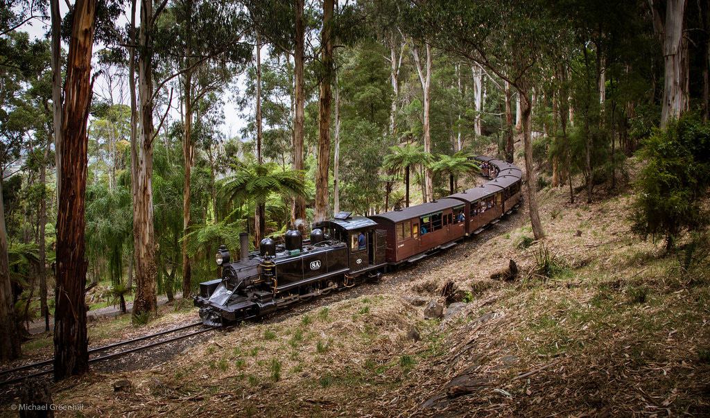 the Dandenong Ranges