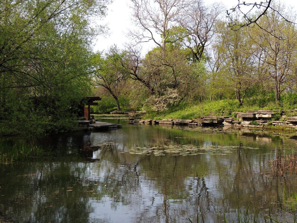 Alfred Caldwell Lily Pool