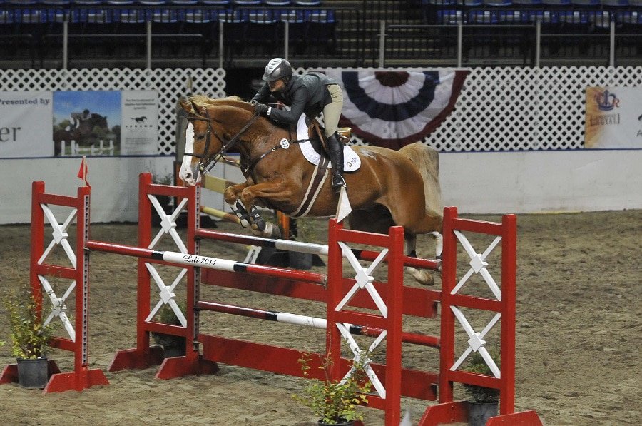 American Royal Museum and Visitors Center