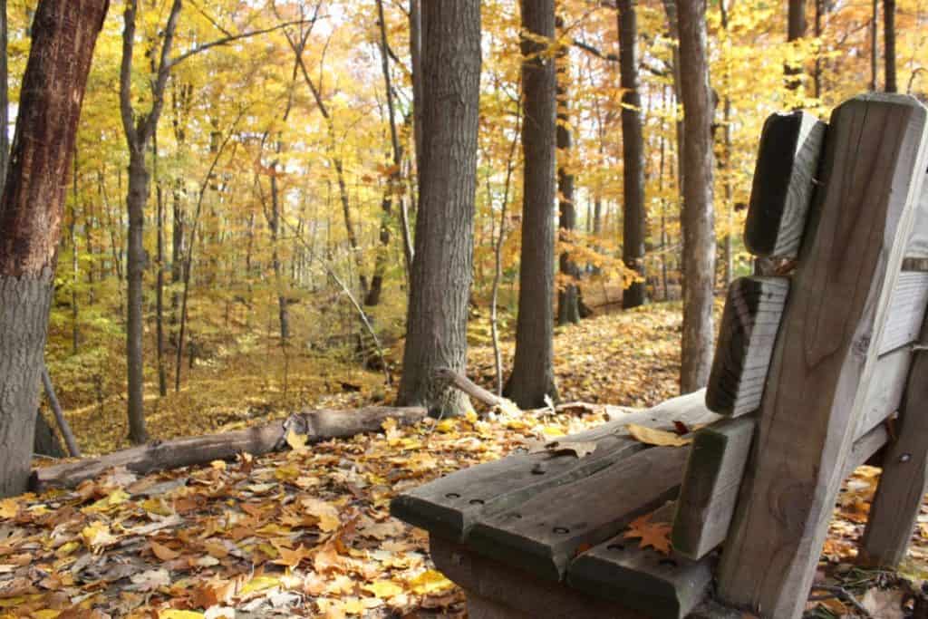 Blandford Nature Center