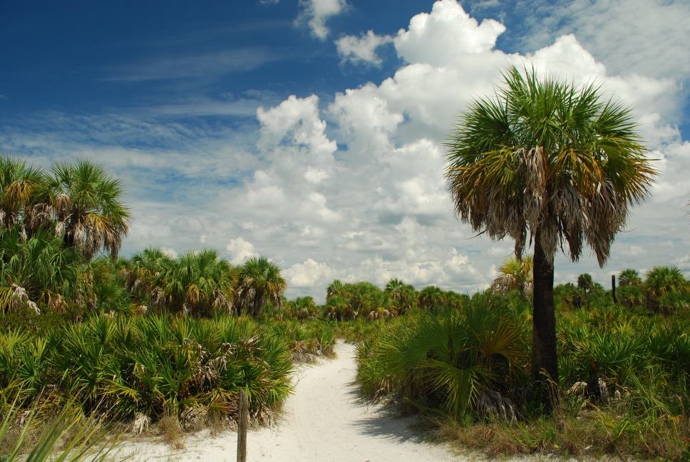 Caladesi Island