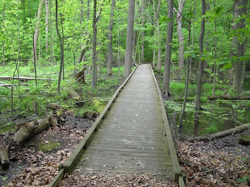 Calvin College Ecosystem Preserve