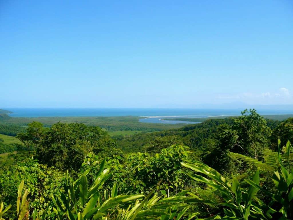 Daintree Rainforest
