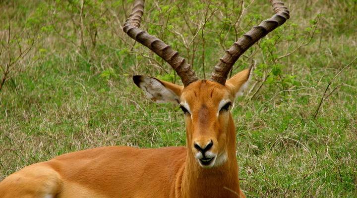 Keran National Park