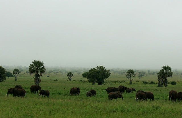 Kidepo Game Reserve