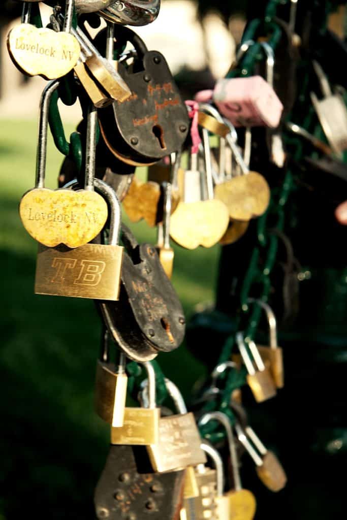 Lovelock