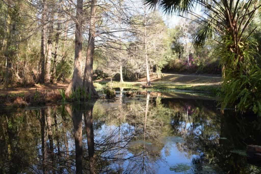 Ravine Gardens State Park