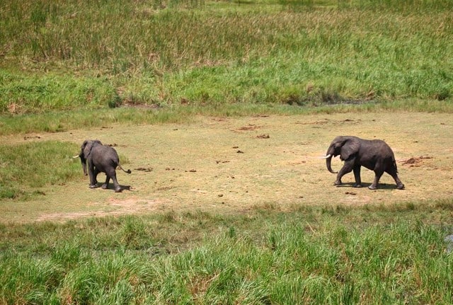 Shambe Nature Reserve