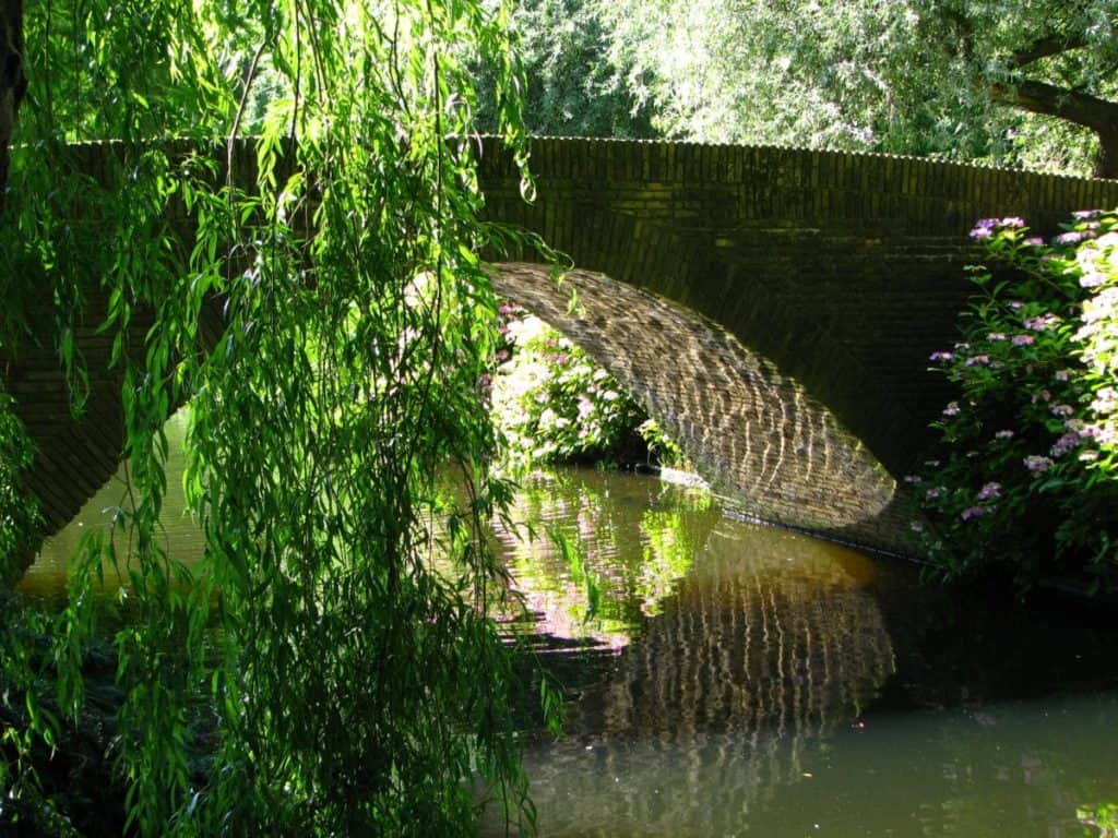 Wilhelminapark