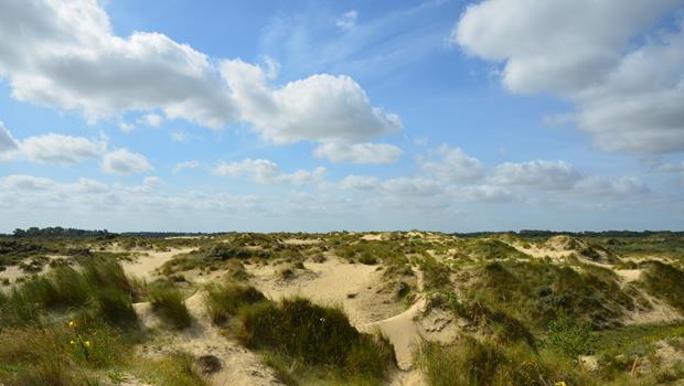 Cabour Dunes