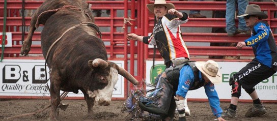 County Fair