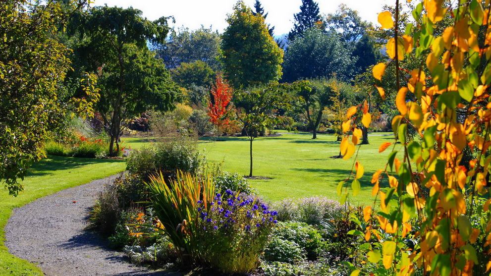 Darts Hill Garden