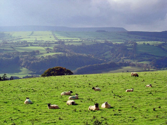 Golden Valley
