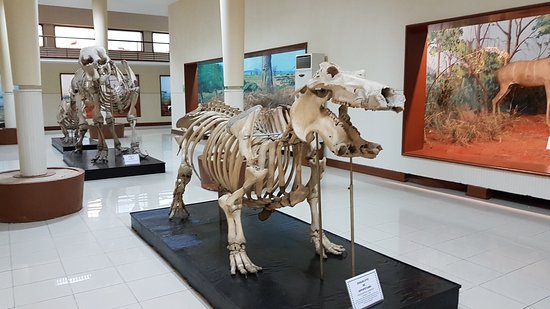 National Museum of Natural History