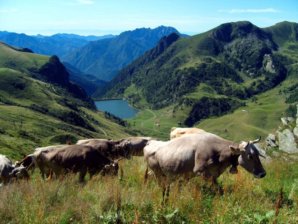 Parco delle Orobie Bergamasche