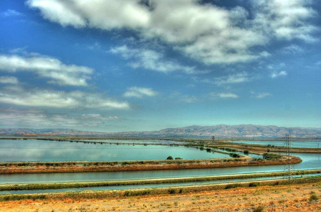 Sunnyvale Bay Trail