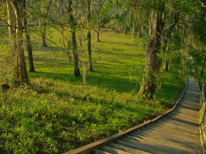 The Lake Jackson Mounds Archaeological State Park