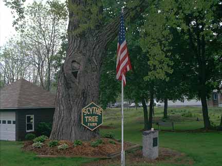 The Scythe Tree