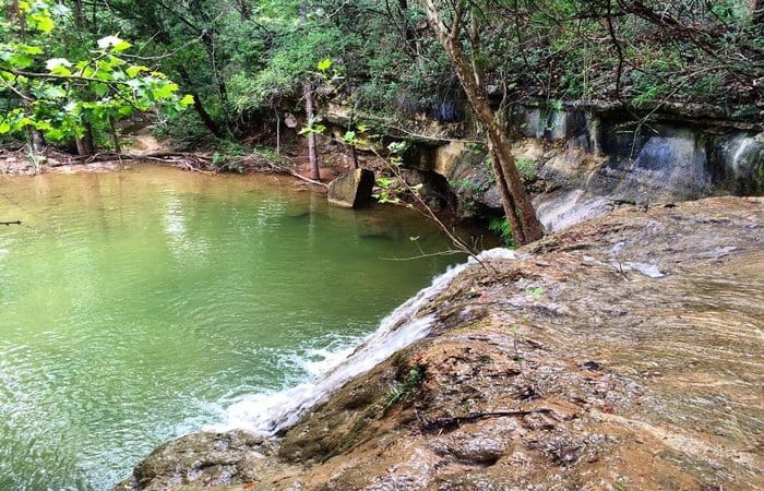 Wild Basin Wilderness Preserve