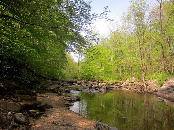 Winkler Botanical Preserve