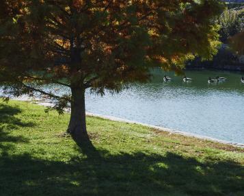 Big 11 Lake
