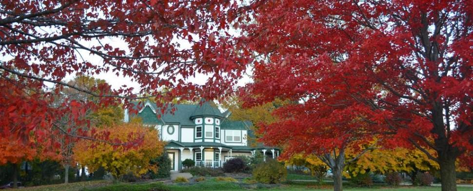 Cider Hill Family Orchard