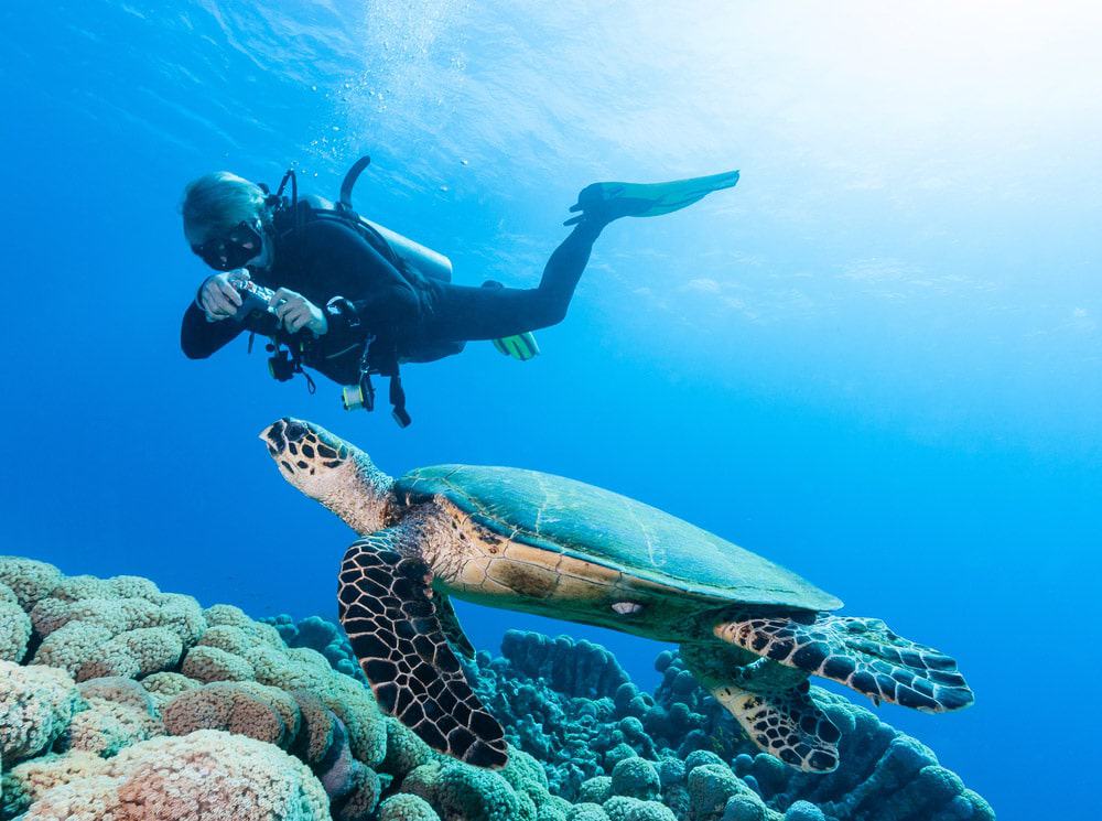 Diving
