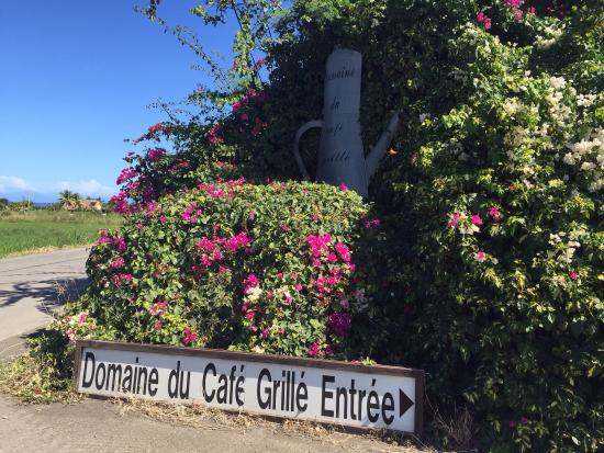 Domaine du Café Grillé