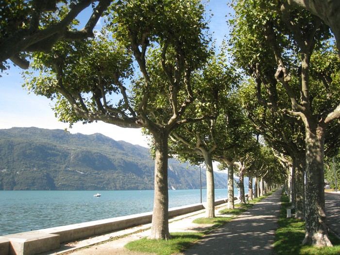 Esplanade du Lac