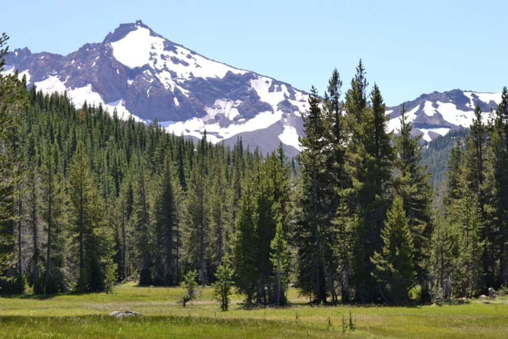 Five Pine Lodge