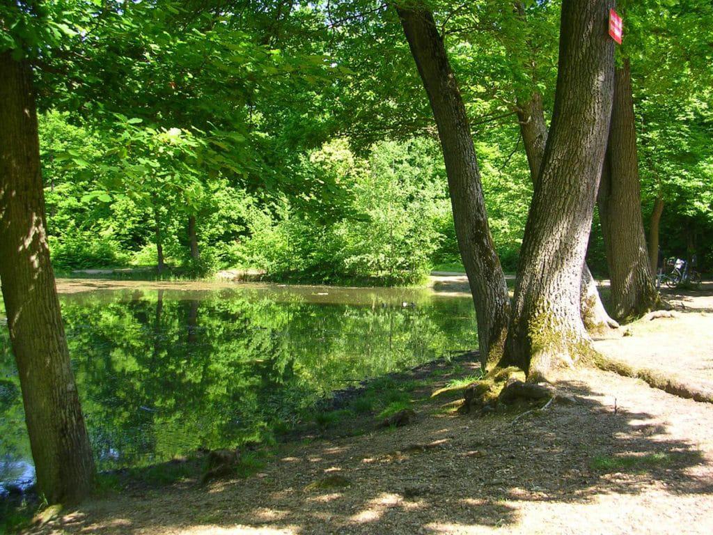 Forêt de Saint-Germain-en-Laye