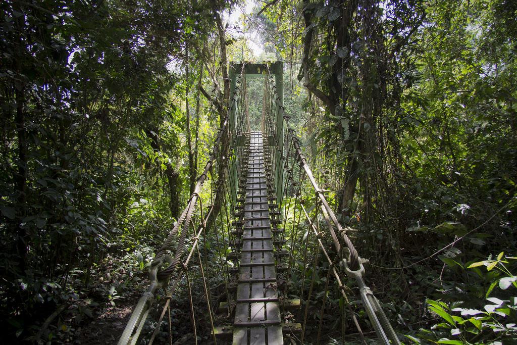 Gunung Mulu National Park