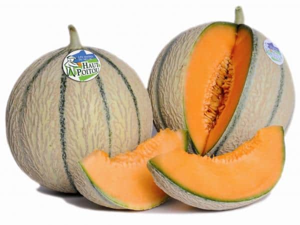 Haut-Poitou melon